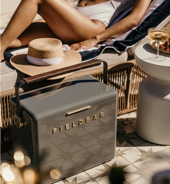 The runway model of cooler boxes The drinks box is a timeless, stylish piece with the quality craftsmanship to keep ice frozen for hours